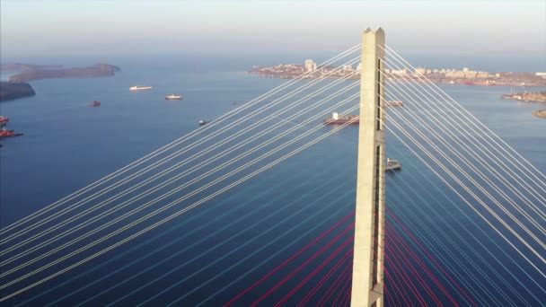 Letecký pohled na ruské mostní pilíř a kabelů. Průliv je plný lodí — Stock video