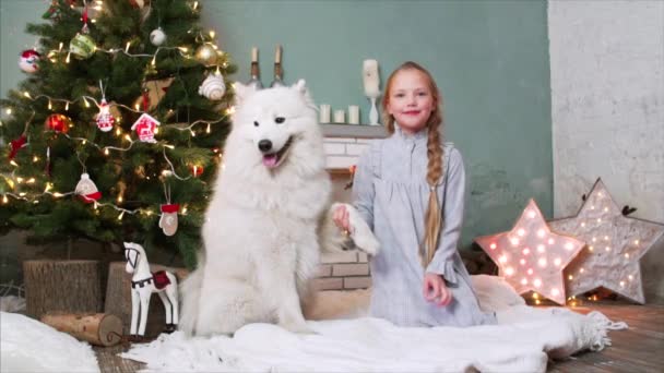 穿着睡衣的漂亮微笑的女孩正坐在圣诞树旁的地毯上 手牵着锯齿状的狗爪 看着镜头 — 图库视频影像