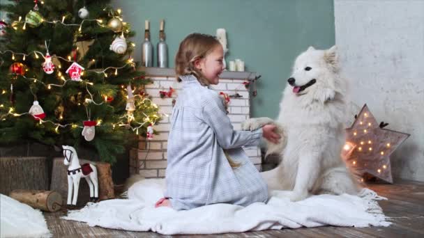 Aranyos Mosolygós Lány Éjszakai Viselet Szőnyegen Közel Karácsonyfa Gazdaság Samoyed — Stock videók