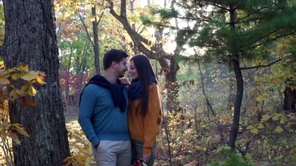 在美丽的阳光明媚的秋天的森林里 迷人的恋爱中的男女正在摆出姿势 亲吻着 放声大笑着 — 图库视频影像