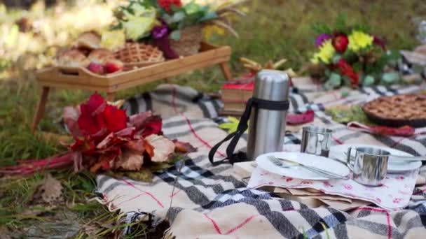 Sliding Utsikt Över Dekorationer För Utomhus Picknick Filt Gräs Och — Stockvideo