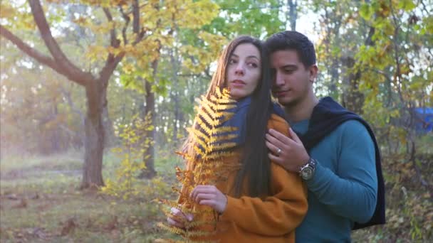 Bela Jovem Mulher Apaixonada Estão Posando Ensolarada Floresta Outono Uma — Vídeo de Stock