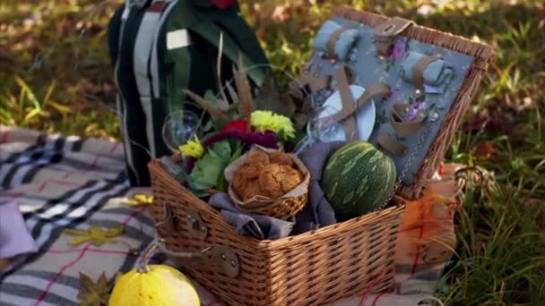 Vista Próxima Cesta Piquenique Com Biscoitos Melancia Flores Copo Vinho — Vídeo de Stock