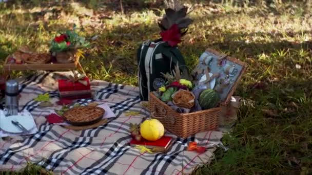 Dekoracje Piknik Zewnętrzny Koc Trawie Jedzeniu Gorący Napój Talerz Nim — Wideo stockowe