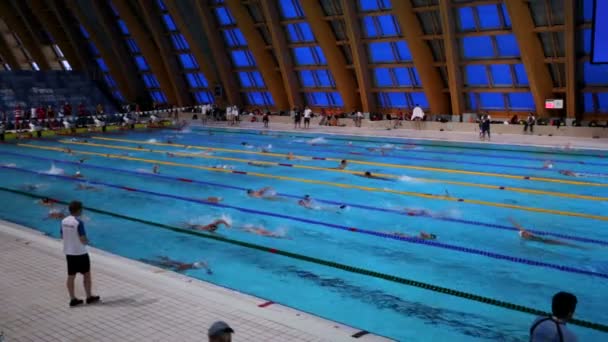 Kazan Russia July 2015 Athletes Swimmers Train Pool Aquatics Palace — Stock Video