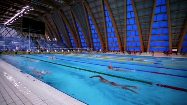 Kazan Rusia Julio 2015 Los Atletas Nadadores Entrenan Una Piscina — Vídeos de Stock