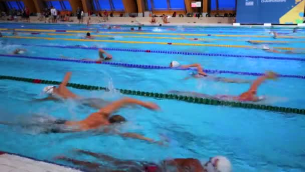 Kazan Rússia Julho 2015 Atletas Nadadores Treinam Uma Piscina Palácio — Vídeo de Stock