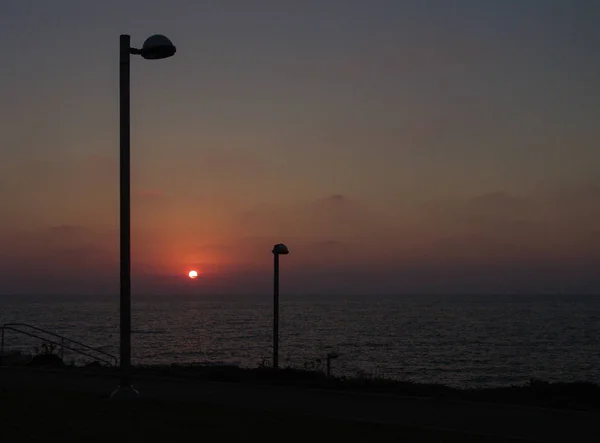 Sonnenuntergang Blick auf einen Park mit Stadtlampen und grünem Gras in die o — Stockfoto