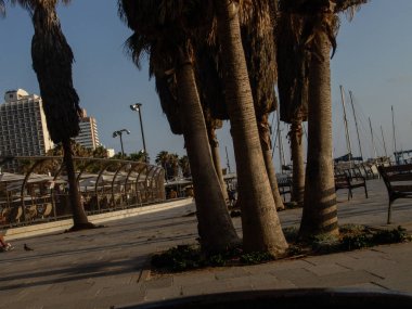 Seaside, Tel Aviv, yönetim kurulu yürüyüşle üç avuç içi bir circ döşeli