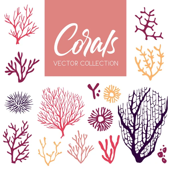 Beyaz bir arka plan üzerinde izole renkli mercan ve yosun seti.