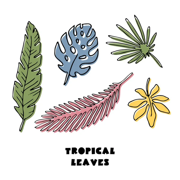 Набор абстрактных тропических листьев — стоковый вектор