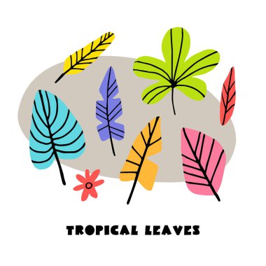 Soyut tropikal kümesi bırakır