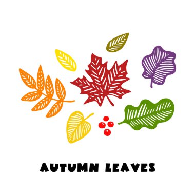 El çizilmiş vektör sonbahar yaprakları seti