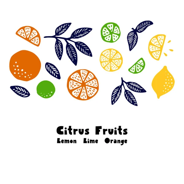 Samling av citrus skivor — Stock vektor