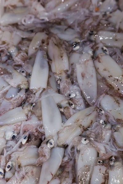 Uma Caixa Cheia Lulas Recém Capturadas Venda Balcão Mercado Peixes — Fotografia de Stock