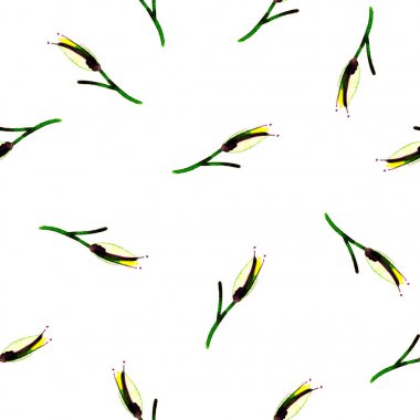 Kusursuz desenli bahar lalesi