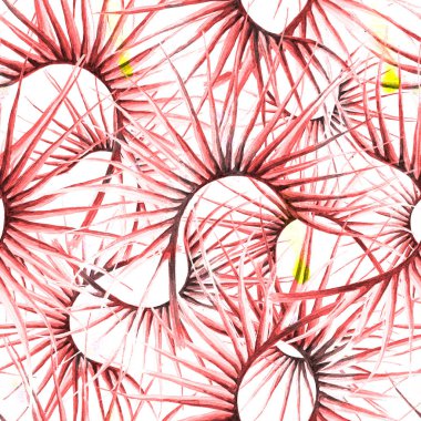 Orman Yazı Kusursuz Şekilde Tropikal Egzotik