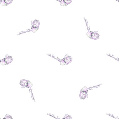 Çiçek Pastası. Beyaz Romantik Kusursuz Desen.