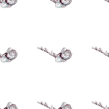 Çiçek Pastası. Beyaz Romantik Kusursuz Desen.