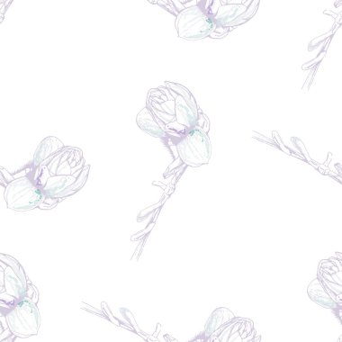 Çiçek Pastası. Beyaz Romantik Kusursuz Desen.