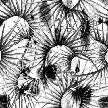 Tropik Yaprak. Siyah Beyaz Modern Motif.