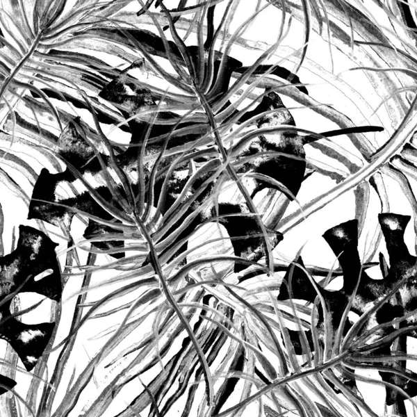Tropical Leaf. Black White Modern Motif.