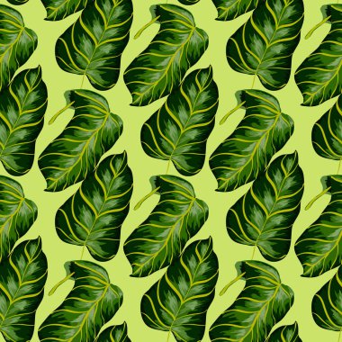 Palmiye ağacı yaprakları ile tropikal Dikişsiz desen. Muz yaprakları ile arka plan.