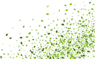 Orman Yeşilliği Düşen Vektör Broşürü. Orman 