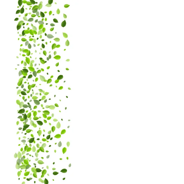 Olive Greens Transparent Vector Concept. Falling — Stock Vector