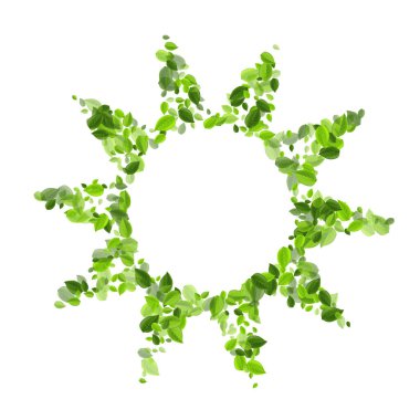 Limon Yeşili Taze Vektör Tesisi. Organik Yaprak 