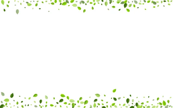 オリーブの葉の木ベクトルパンフレット。生態学 — ストックベクタ