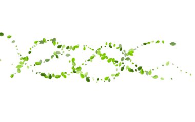 Yeşil Yeşiller Yay Vektör Arkaplanı. Uçan Yaprak 