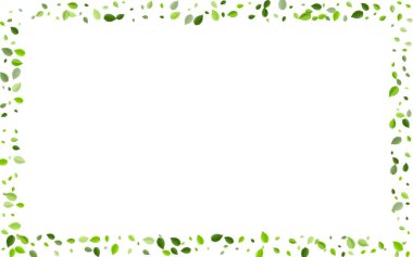 Grassy Yaprakları Girdap Vektörü İllüstrasyonu. Düşüyor 