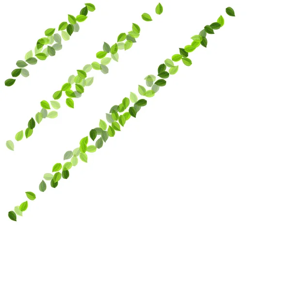 Forest Leaf Swirl Vector concept. Doorzichtig — Stockvector