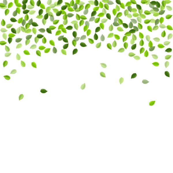 Mint Greens Flying Vector Background (en inglés). Hoja de movimiento — Vector de stock