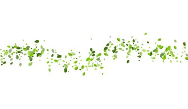 Orman Yeşilliği Taze Vektör Şubesi. Uçan Yapraklar 