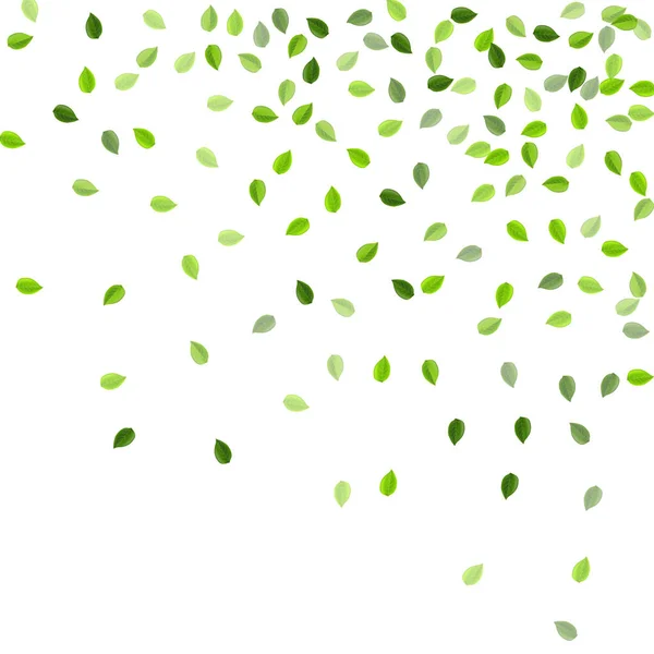 Lime Leaf Falling Vector Concept. Transparente — Vector de stock