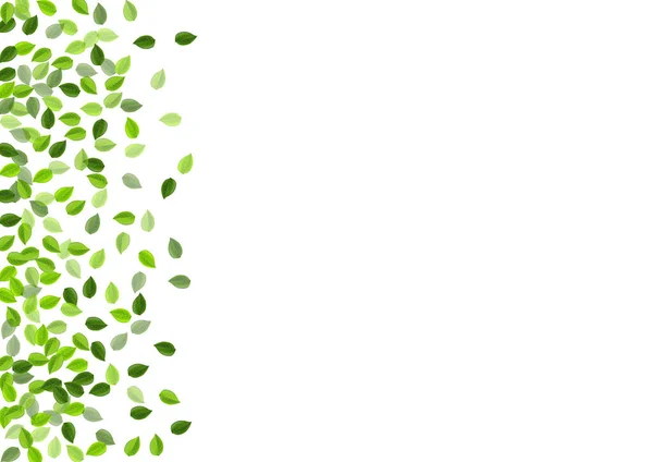 Grassy Leaves Blur Vector Banner. Zwenkblad — Stockvector