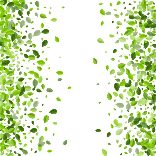 Grassy Greens Tree Vector Branch. Hojas de mosca — Archivo Imágenes Vectoriales