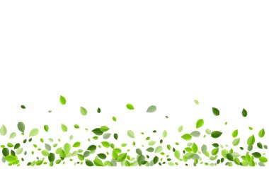 Çimenli Yeşiller Soyut Vektör Sancağı. Uçan Yaprak 