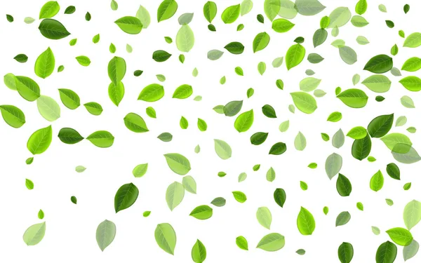 Mint Leaf Forest Vector Concept. Feuillage printanier — Image vectorielle