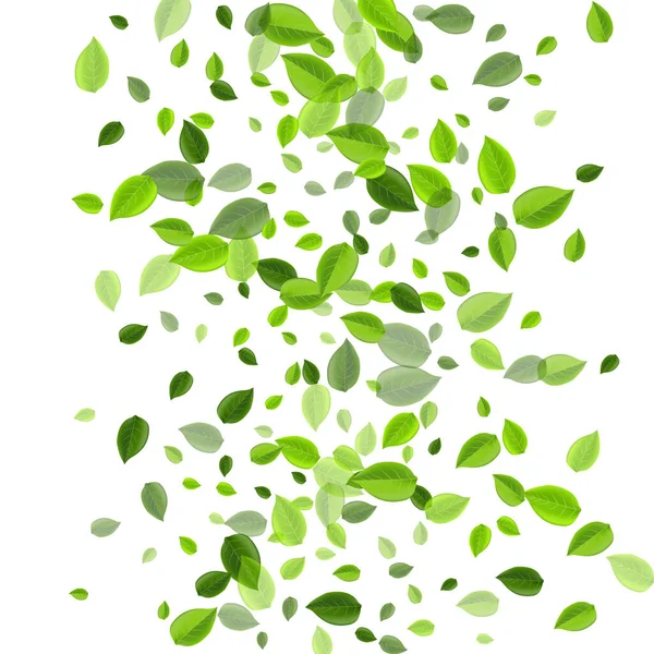 Lesní zeleň Abstraktní vektorová ilustrace. — Stockový vektor