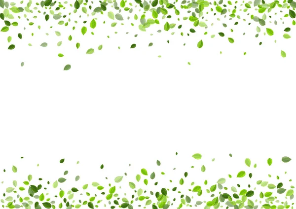 Verde Folhagem Blur Vector fundo. Folhas de árvores — Vetor de Stock