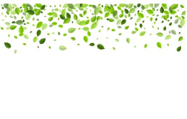 Bataklık Yaprağı Şeffaf Vektör Broşürü. Soyut 