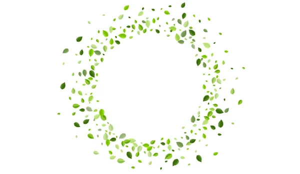 Modèle vectoriel réaliste vert menthe. Feuille floue — Image vectorielle