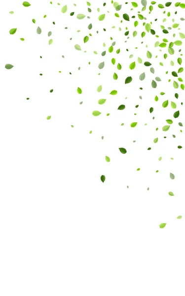 Grassy Greens Blur Vector Illustration (em inglês). Voando —  Vetores de Stock