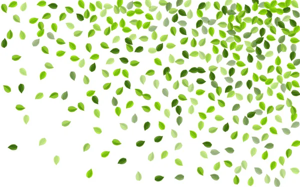 Hoja de pantano Naturaleza Vector Ilustración . — Vector de stock