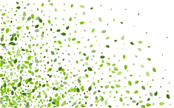 Feuillage herbeux arbre vecteur papier peint. Proposition — Image vectorielle