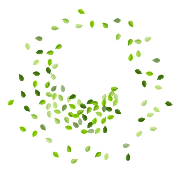 Motif vectoriel de tourbillon de chaux verte. Feuille d'arbre — Image vectorielle