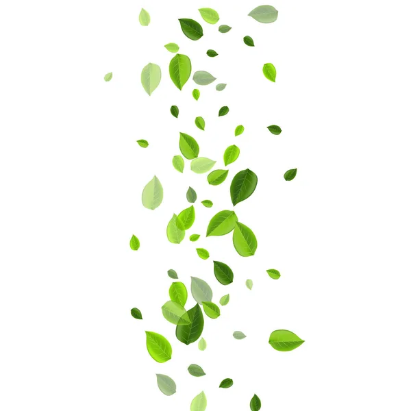 Mint Leaf Realistic Vector Backdrop. Moção — Vetor de Stock